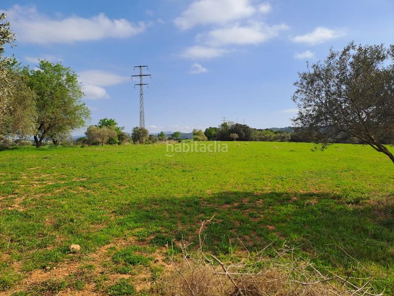 Foto e3f2c6ff-9aef-4db4-b545-b2f6460e7eac. Landgut in Polígon Industrial Santa Margarida Terrassa