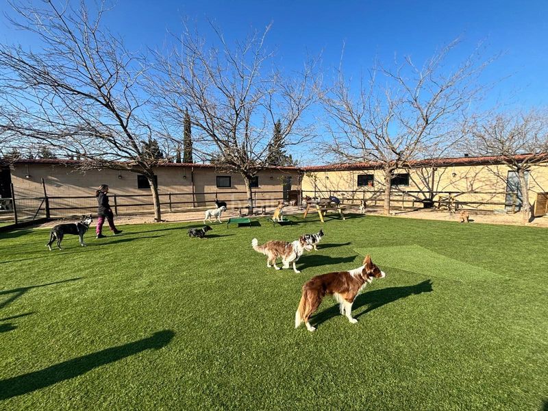 Foto 1ffb96dd-7022-4184-b170-81005b892b93. Finca rústica a Abrera