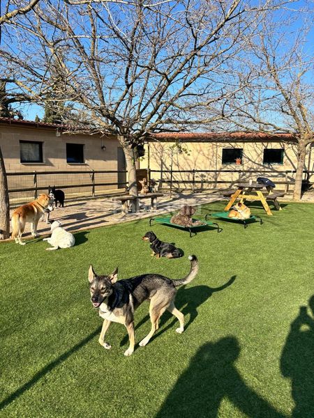 Foto 80243164-5d17-4c15-b9f0-6c9dcc369b18. Finca rústica a Abrera