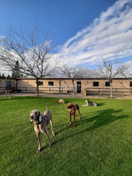 Foto 9f145efb-6447-4b21-8f48-db628184d769. Finca rústica a Abrera