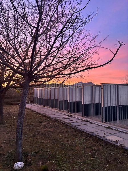 Foto c3f8a48c-084e-40a8-a6fa-8edc387005b2. Finca rústica a Abrera