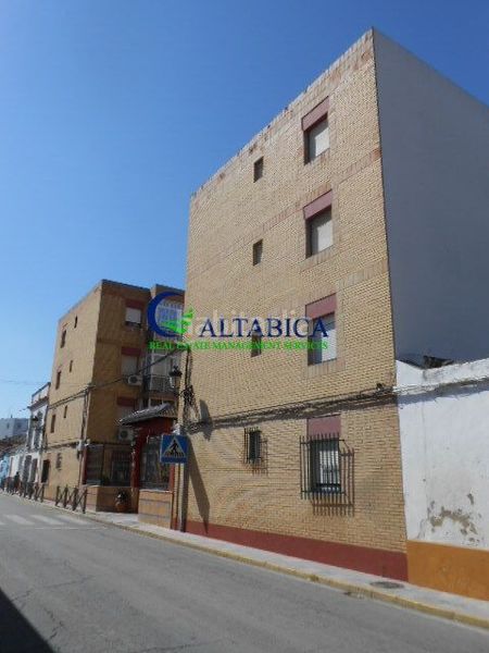 Foto 0eb408fd-ea67-45b9-aad0-af3296fea985. Pis a Palma del Condado (La)