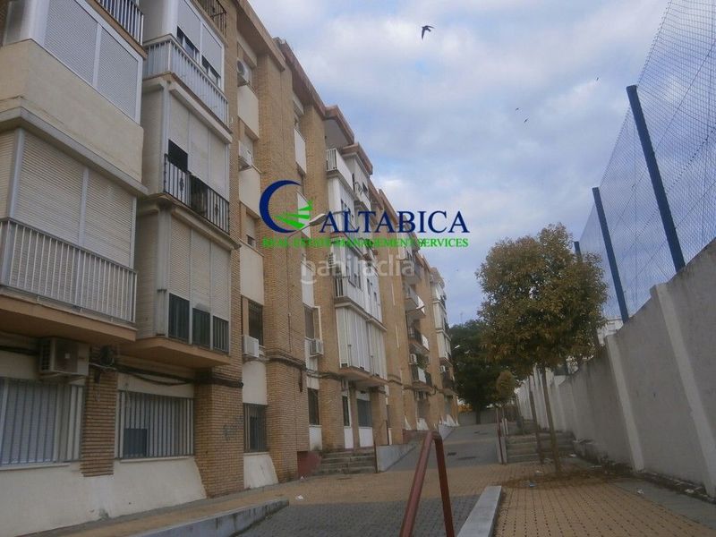 Foto 56892c81-c1db-4092-ae85-eae551840ecc. Pis a Fuentepiña Huelva