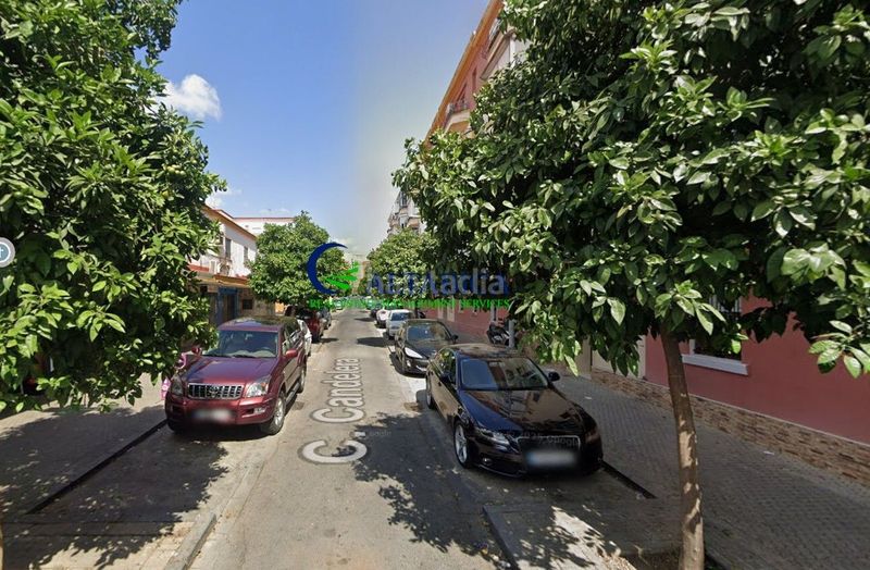 Foto 47403640-6cfa-4a8a-8d86-983fb02b1690. Pis a Los Pájaros Sevilla