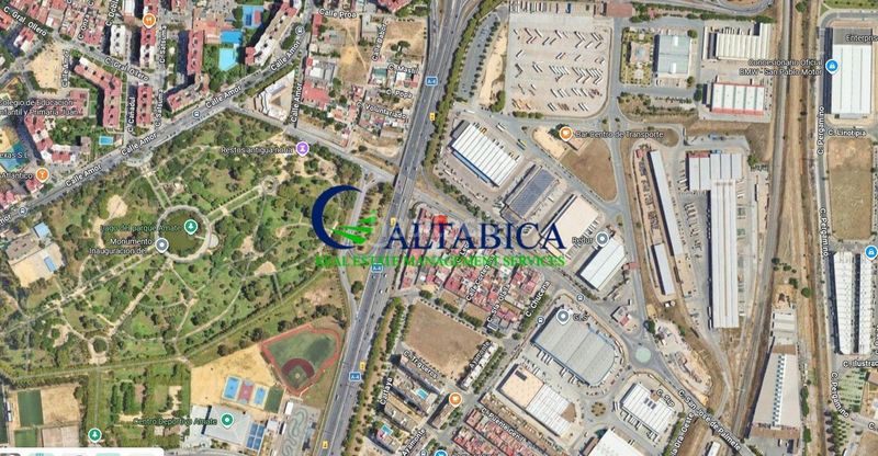 Foto 4091ca8c-523e-4c9b-8bc4-6c0f4e701a07. Pis a Palmete Sevilla