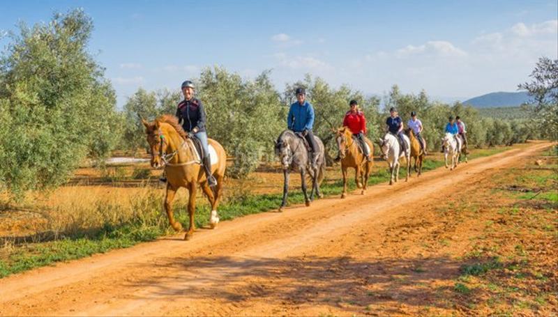 Foto 2bbd6b9d-2211-431c-bb79-fc2fbf843856. Terreno residenziale in Casco Histórico Antequera