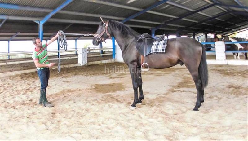 Foto 2f327ded-73b1-476b-99fe-96e5ed1e812b. Terreno residenziale in Casco Histórico Antequera