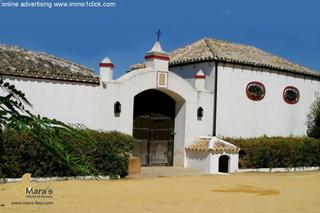 Terreny residencial en La Hacienda - Nueva Andaluca