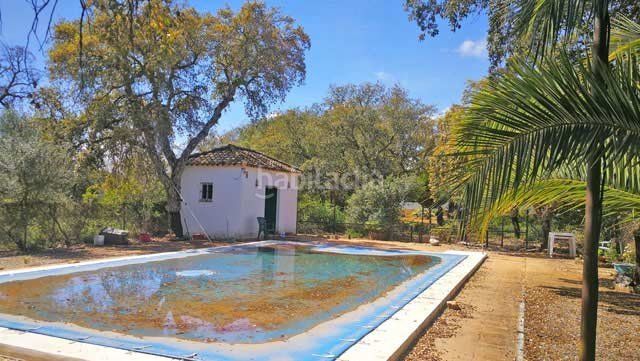 Foto 154b7014-99d7-43c9-bbd3-24d256cb0978. Residential plot in Arcos de la Frontera