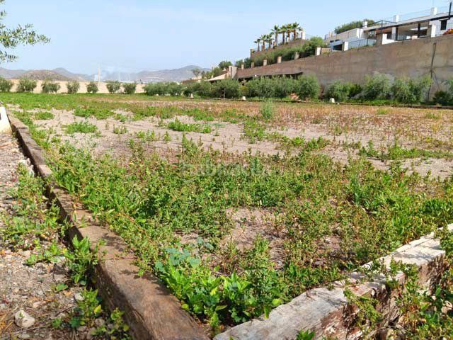 Foto aa3237d9-e244-4631-ab29-ac8fd32e54e8. Terreny residencial a Casco Antiguo Águilas