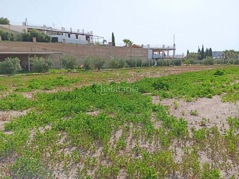 Foto e15078d4-9977-4211-be9b-0ff99091dfdb. Terreny residencial a Casco Antiguo Águilas