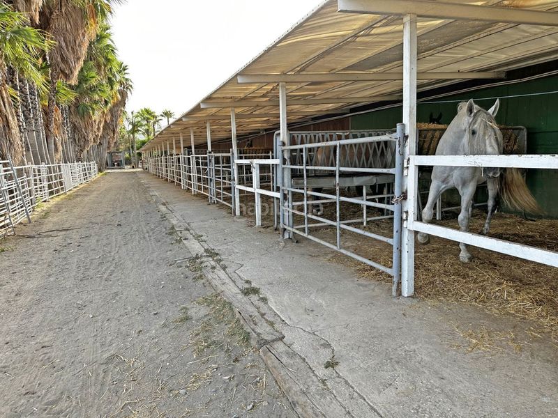 Foto ca225454-a55b-4726-bf56-d794e42a6a0e. Terreny residencial a Los Castillejos - La Trinidad Málaga