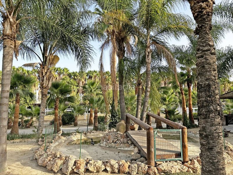 Foto d16c9bec-8c41-4744-8915-9082534534df. Terreny residencial a Los Castillejos - La Trinidad Málaga