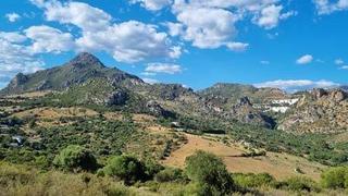Terreny residencial a Casares pueblo