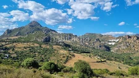 Foto 0e2c224b-d770-4b88-9517-ed0cafc3b827. Terreny residencial a Casares pueblo Casares