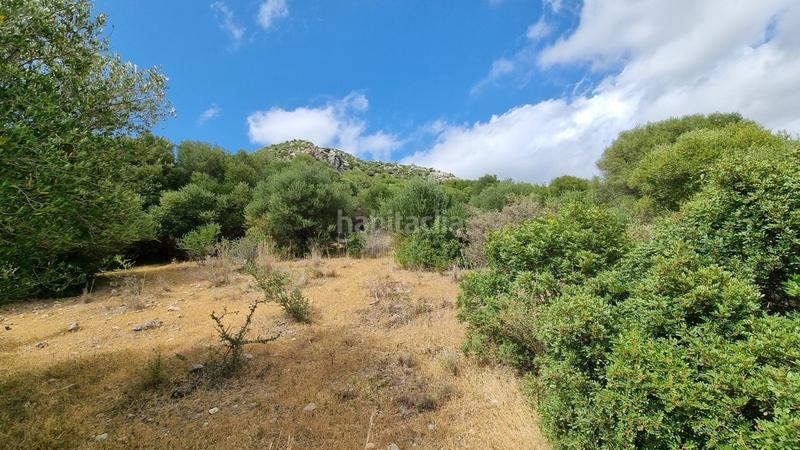 Foto eee30924-f88b-4e20-82f3-dcf9234d4d43. Residential plot in Casares pueblo Casares