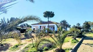 Terreno residenziale in Palma del Condado (La)