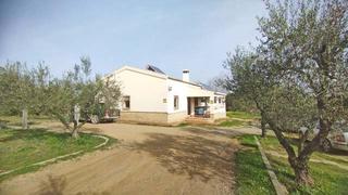 Semi detached house in Palma del Condado (La)