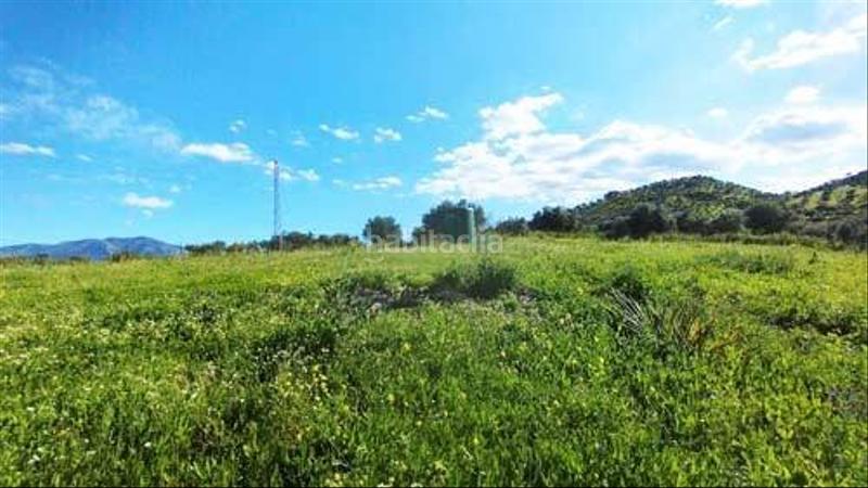 Foto 7a5511ee-fdcc-4c49-b1d9-441bee56dbac. Terreny residencial a Coín