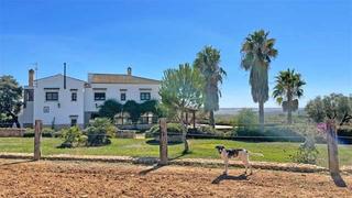 Terreny residencial a Chucena