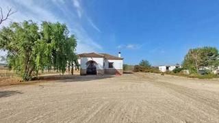 Terreny residencial a Medina - Sidonia