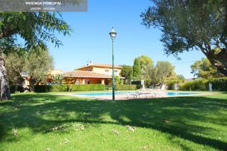 Residential Plot in Centro