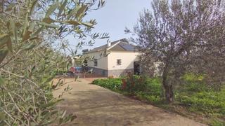 Terrain résidentiel à Palma del Condado (La)