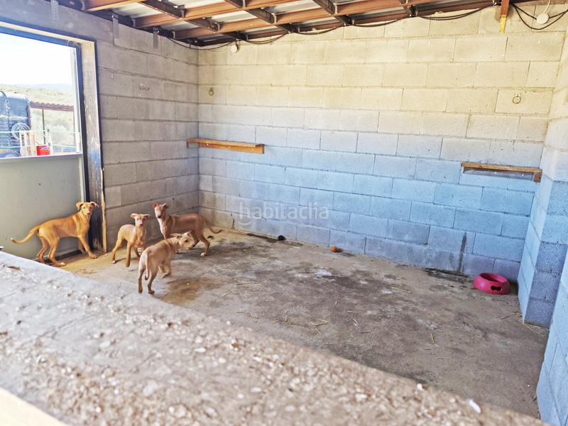 Foto a56ff116-58de-4d2e-a68d-5e0efe1a3add. Wohngrundstück in Serón