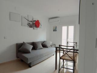 Alquiler Apartamento en Zofío