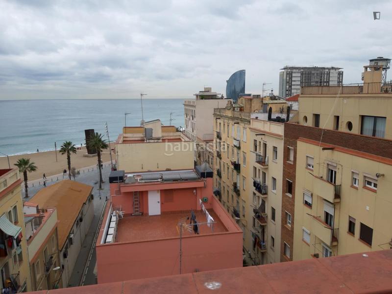 Foto 0374ff3b-1da7-482f-9d4d-c48e33f2ffc3. Location studio dans Barceloneta Barcelona