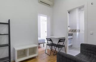Location Appartement à Embajadores-Lavapiés