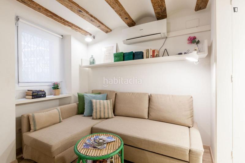 Foto a499966d-8e6b-4fda-8088-25968e86a751. Miete studiowohnung mit heizung in Gòtic Barcelona