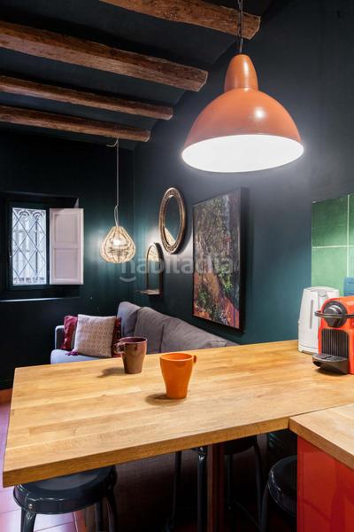 Foto db795c0a-2ddf-470f-a8a9-d9c6ffafe039. Location studio avec chauffage dans Gòtic Barcelona
