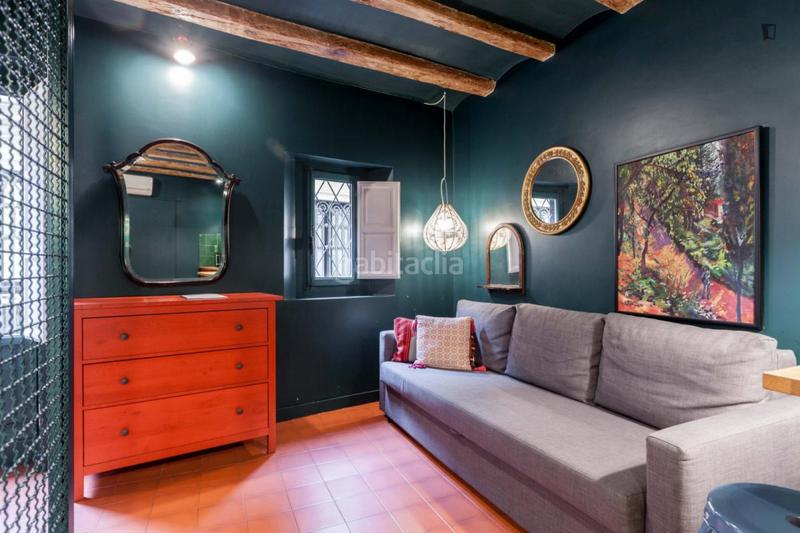 Foto f6397541-a87d-4f76-b516-b34263c7664b. Location studio avec chauffage dans Gòtic Barcelona