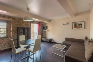Lloguer Apartament a Raval