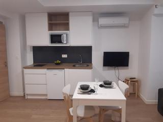 Alquiler Estudio en San Ildefonso