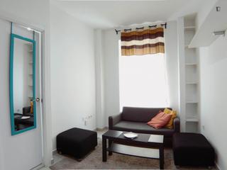 Rent Studio in Puerta del Ángel