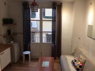 Apartamento en Centro - Sagrario