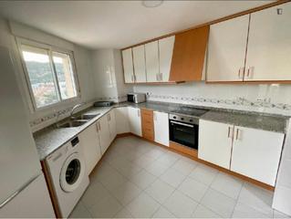 Lloguer Apartament a Centre-Zona Alta