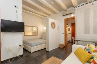 Affitto Monolocale in St. Pere - Sta. Caterina - El Born