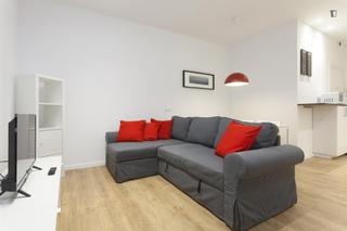 Alquiler Apartamento en Raval