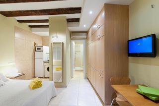Affitto Monolocale in St. Pere - Sta. Caterina - El Born