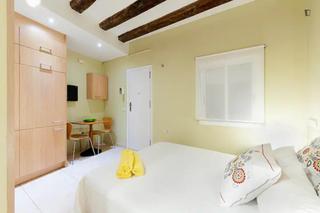 Affitto Monolocale in St. Pere - Sta. Caterina - El Born