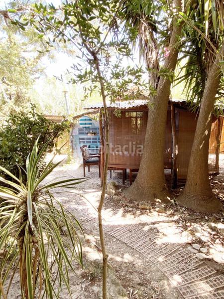 Foto 667e07bd-e7f0-411e-af2c-da35f135c19c. Location maison dans Barbate Barbate