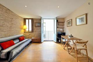 Alquiler Apartamento en St. Pere - Sta. Caterina - El Born