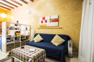 Affitto Monolocale in Raval