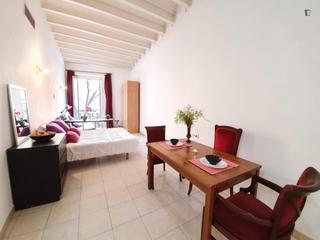 Miete Studiowohnung in Raval