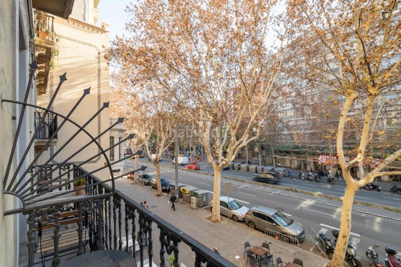 Foto 9fc92223-3f0f-4a27-ac83-3090d3d7e1e1. Alquiler apartamento en Sant Antoni Barcelona