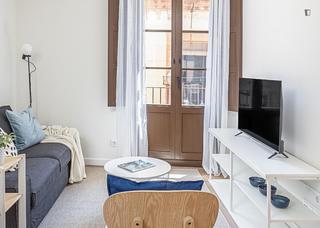 Lloguer Apartament a Raval