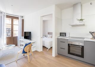 Lloguer Apartament a Raval